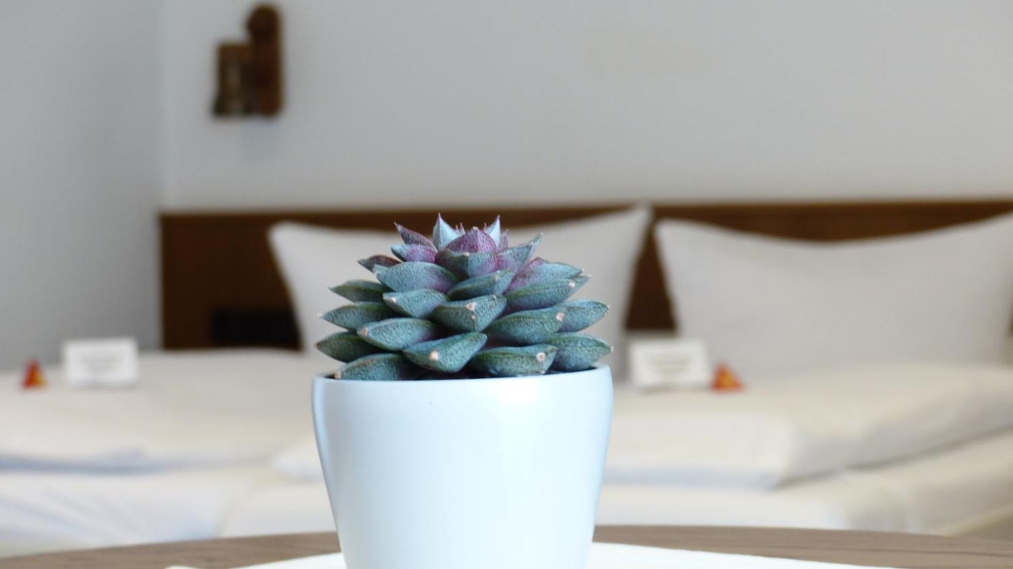 Hotel Rosenbusch Großheubach Pokój zdjęcie